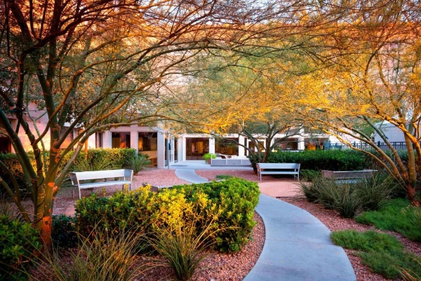 Element Las Vegas Summerlin image 8